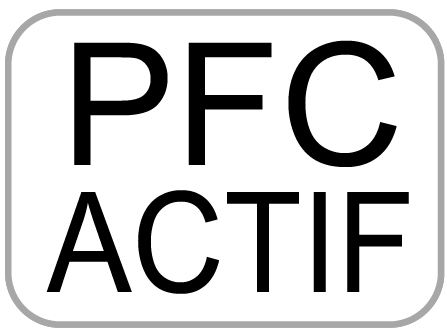 module pfc actif