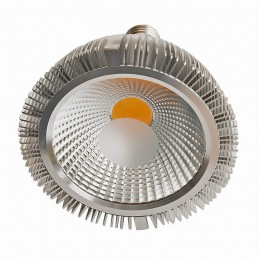 Spot PAR38 12W LED COB