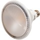 Spot PAR38 20W LED COB blanc chaud