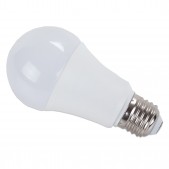 Ampoule E27 9W A60 LED 12-80V DC/AC