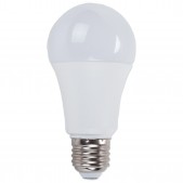 Ampoule E27 9W LED 12-16V DC/AC blanc chaud D60 x L105mm