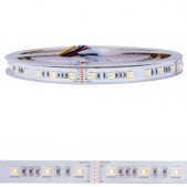 Bande LED 120W RGB+CCT 5 en 1 24V IP20 SMD5050 5M