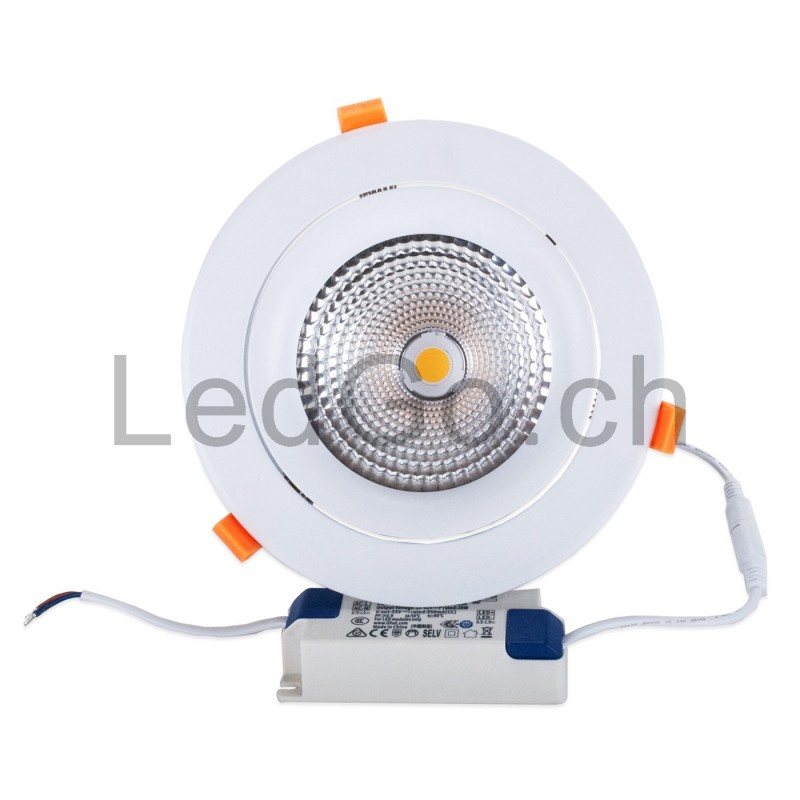 Spot encastrable 40W LED COB Citizen (1210) orientable blanc pur 60° Ra90  D194x129mm découpe 160