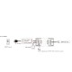 Schema-Contrôleur récepteur RF tension stabilisée 5 canaux 12-48V DC 6A par canal push dim. + Wi-Fi (Tuya)